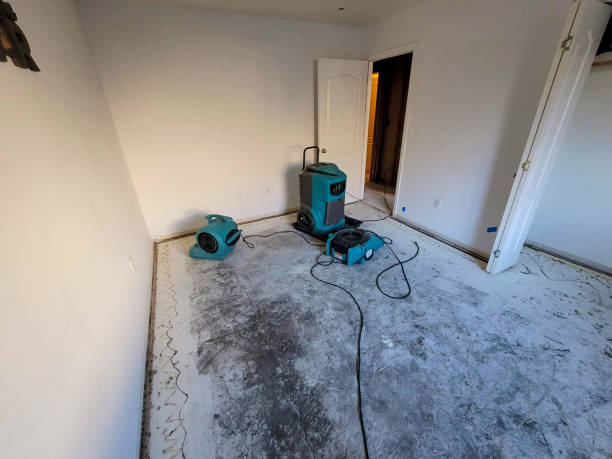 Best Ceiling water damage repair  in Lecanto, FL