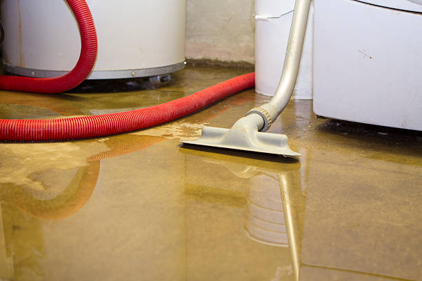 Best Ceiling water damage repair  in Lecanto, FL