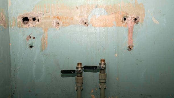 Best Water damage restoration cost  in Lecanto, FL