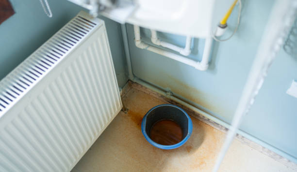 Best Residential water damage restoration  in Lecanto, FL