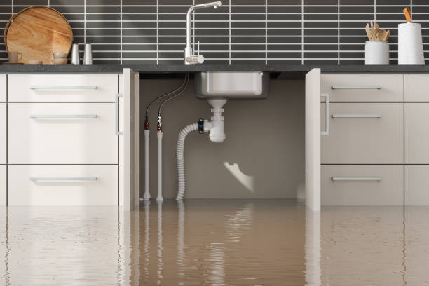  Lecanto, FL Water damage restoration Pros