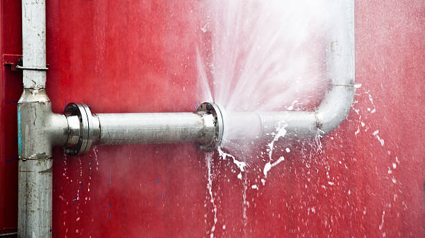 Best Commercial water damage restoration  in Lecanto, FL